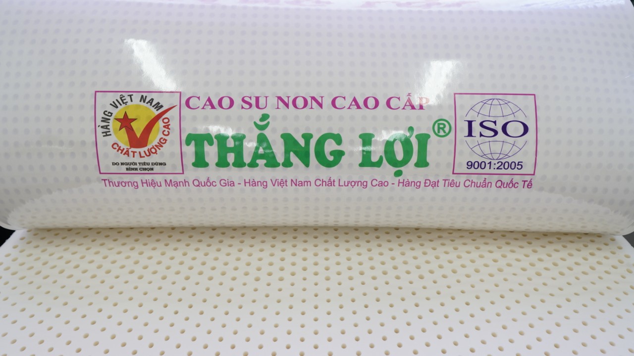 CÔNG TY TNHH NỆM THẮNG LỢI - Nệm Cao Su Non Thắng Lợi